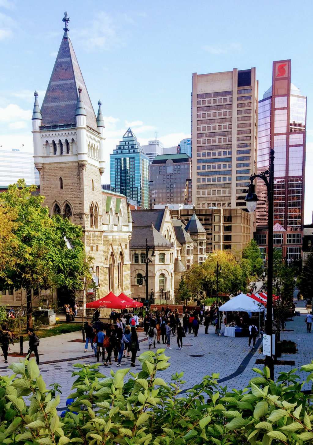 McGill University Campus Photo