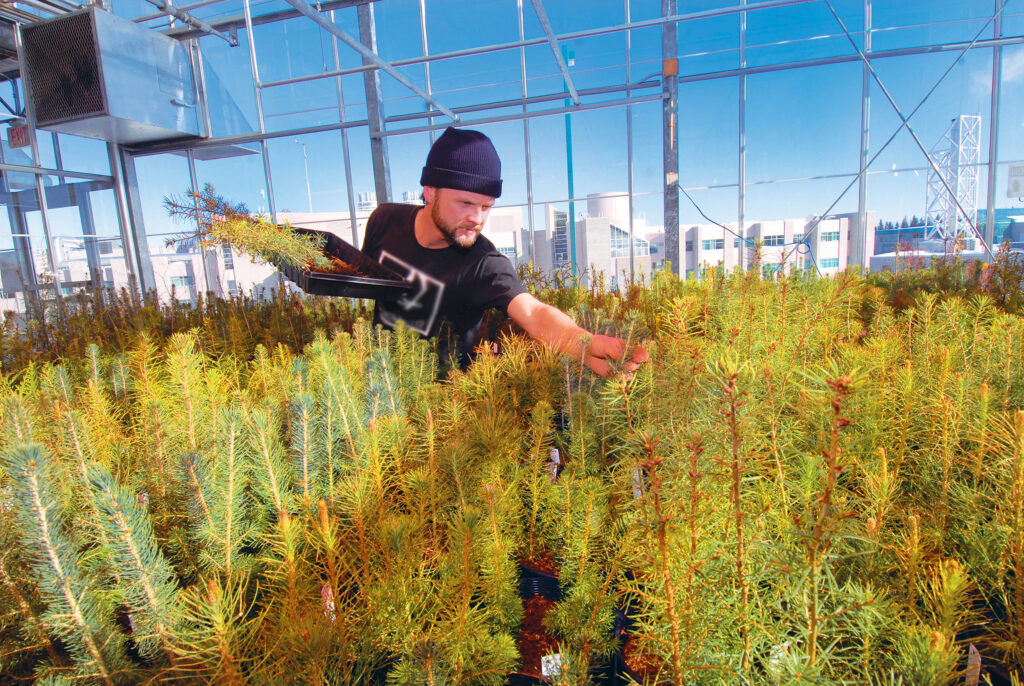 UNBC Enhanced Forestry Laboratory.