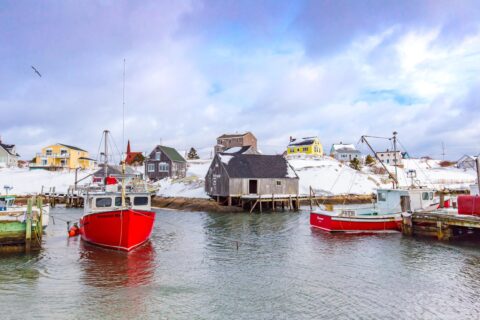 IMG_8284-2500x1667