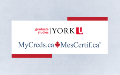 Website Banner