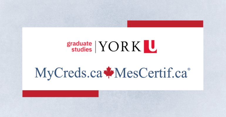Website Banner